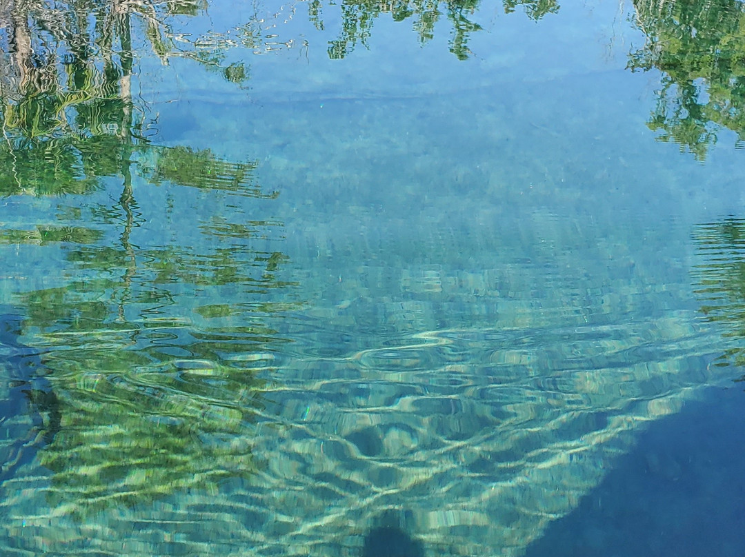Econfina Canoe Livery景点图片