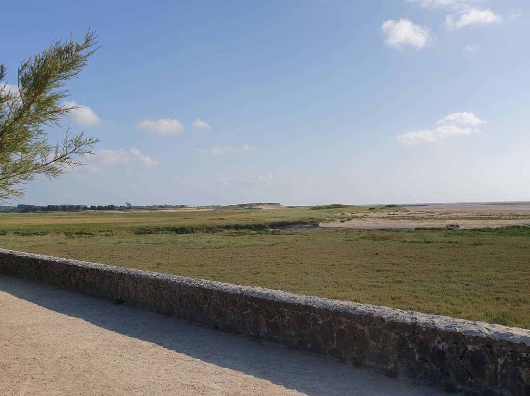 Havre De Regneville Sur Mer