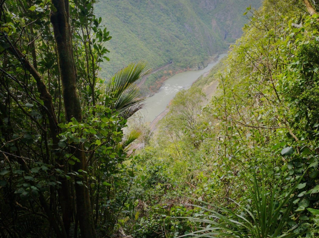 Manawatu Gorge Track-Ashhurst必去景点