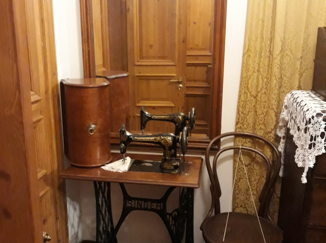 House Museum PP Chistyakov景点图片