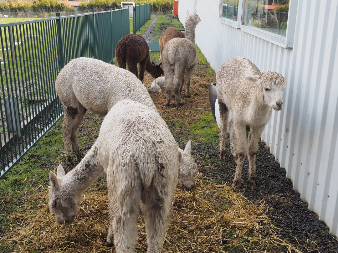 Creswick Woollen Mills-Creswick必去景点