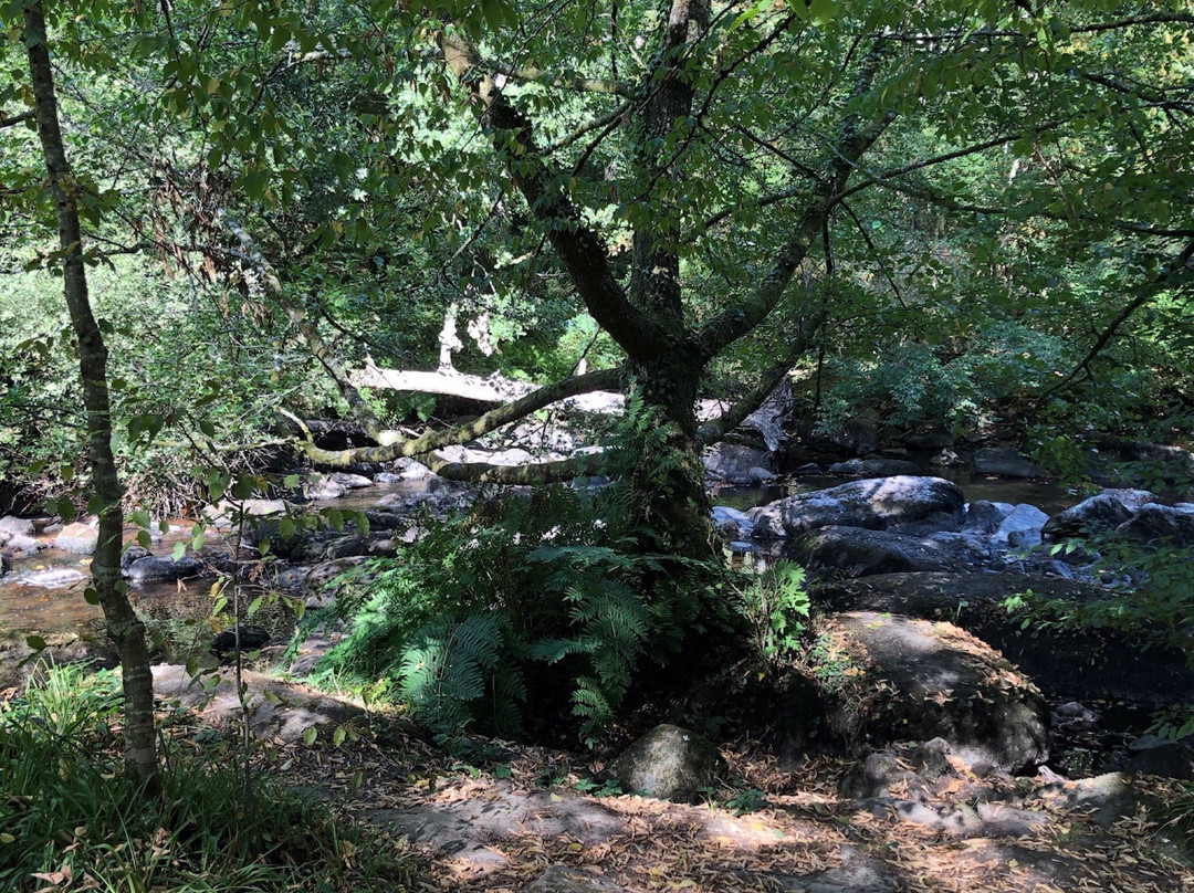 Site Corot-Saint Junien必去景点