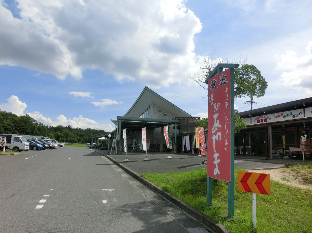 Roadside Station Ayama景点图片