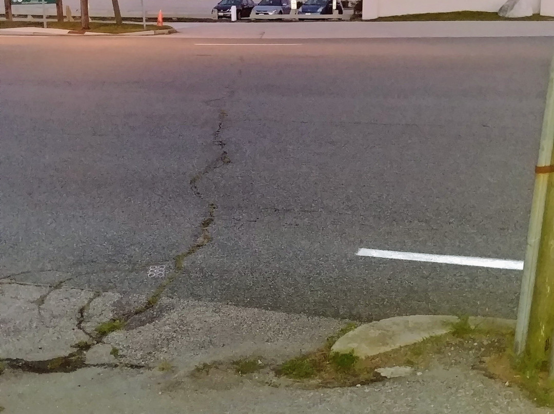 Scarborough Beach Motel主图