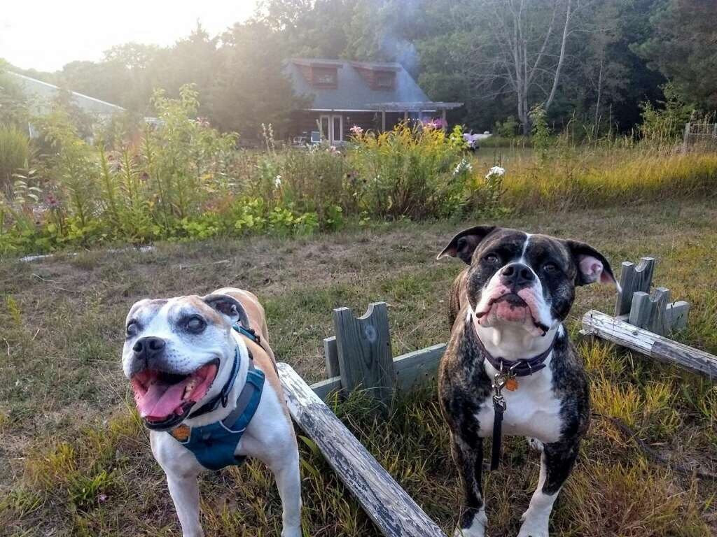 Grace Grange Lodge and Stable主图