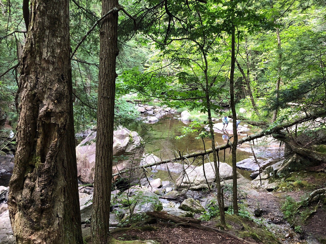 Wahconah Falls State Park景点图片