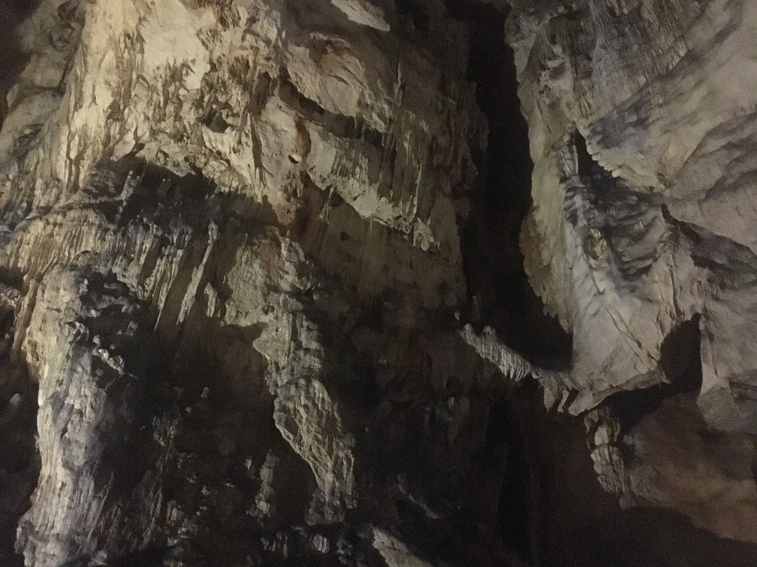 Grabovaca Cave Park景点图片