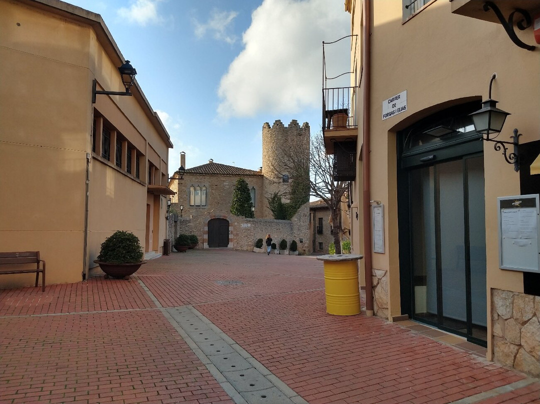 Torre de Can Pella i Forgas景点图片