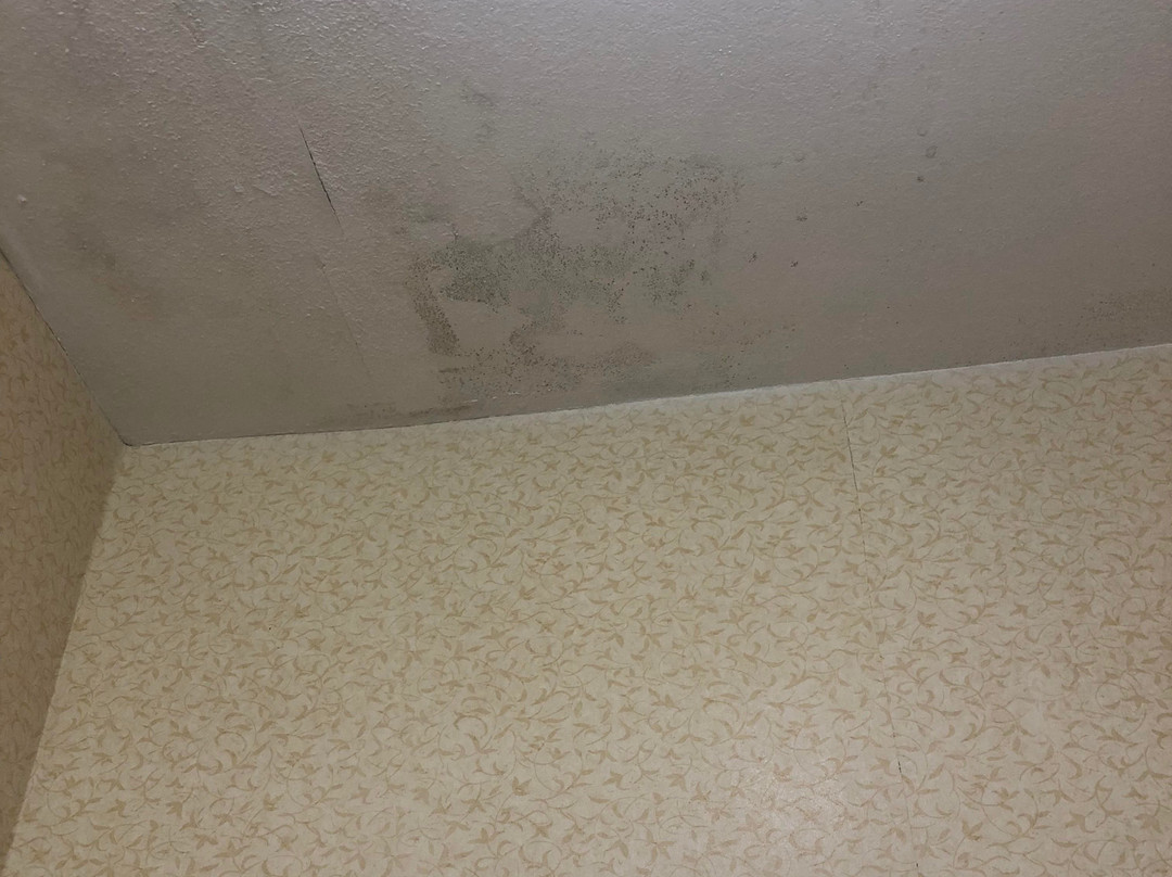 Best Western Independence Kansas City主图