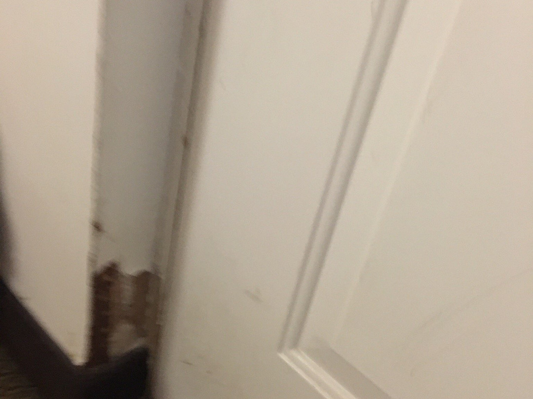 Nittany Budget Motel主图