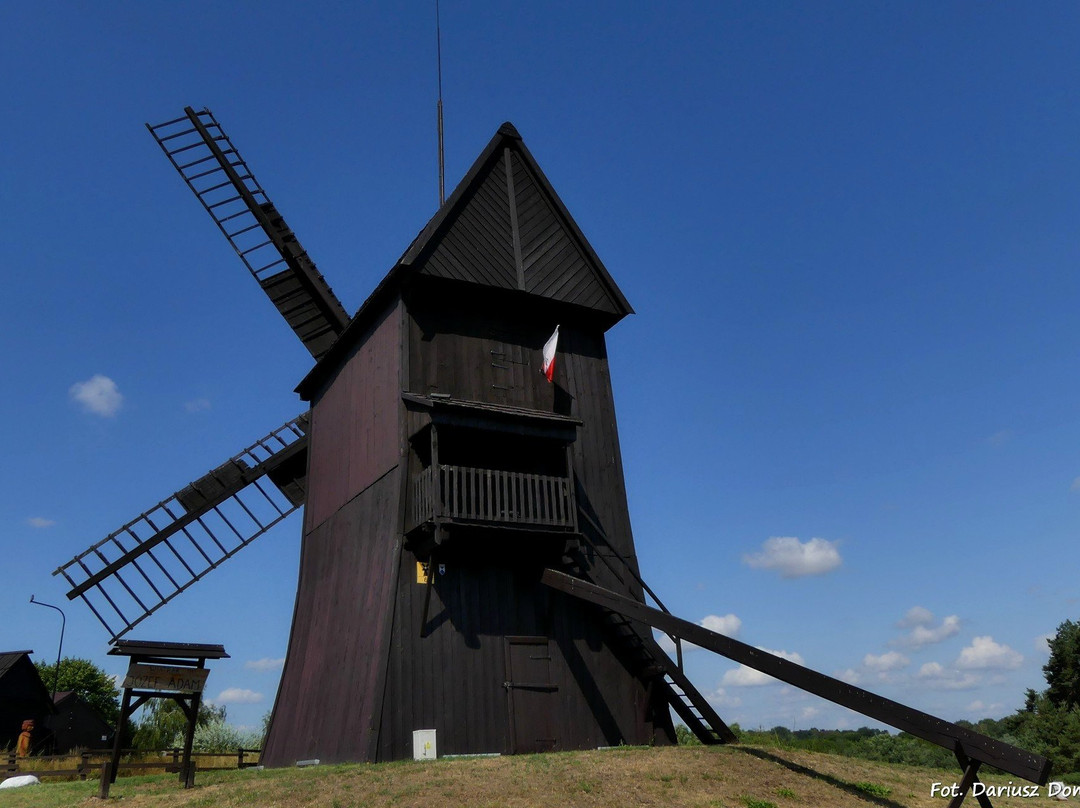 Muzeum Młynarstwa i Rolnictwa w Osiecznej景点图片