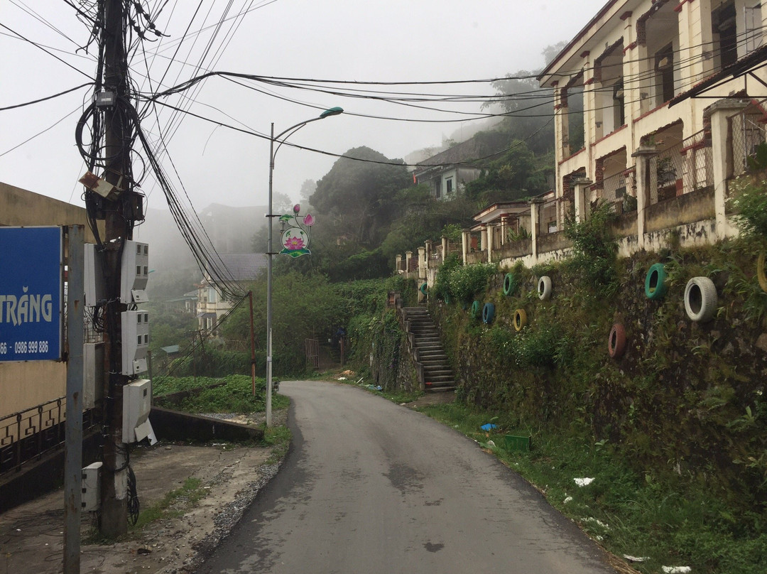 Tam Dao National Park-Tam Dao必去景点