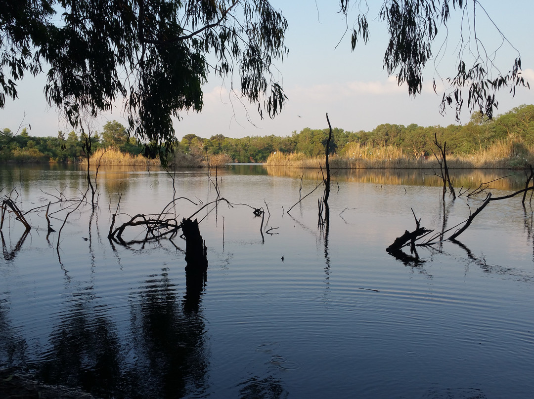 Athalassa National Park-尼科西亚必去景点