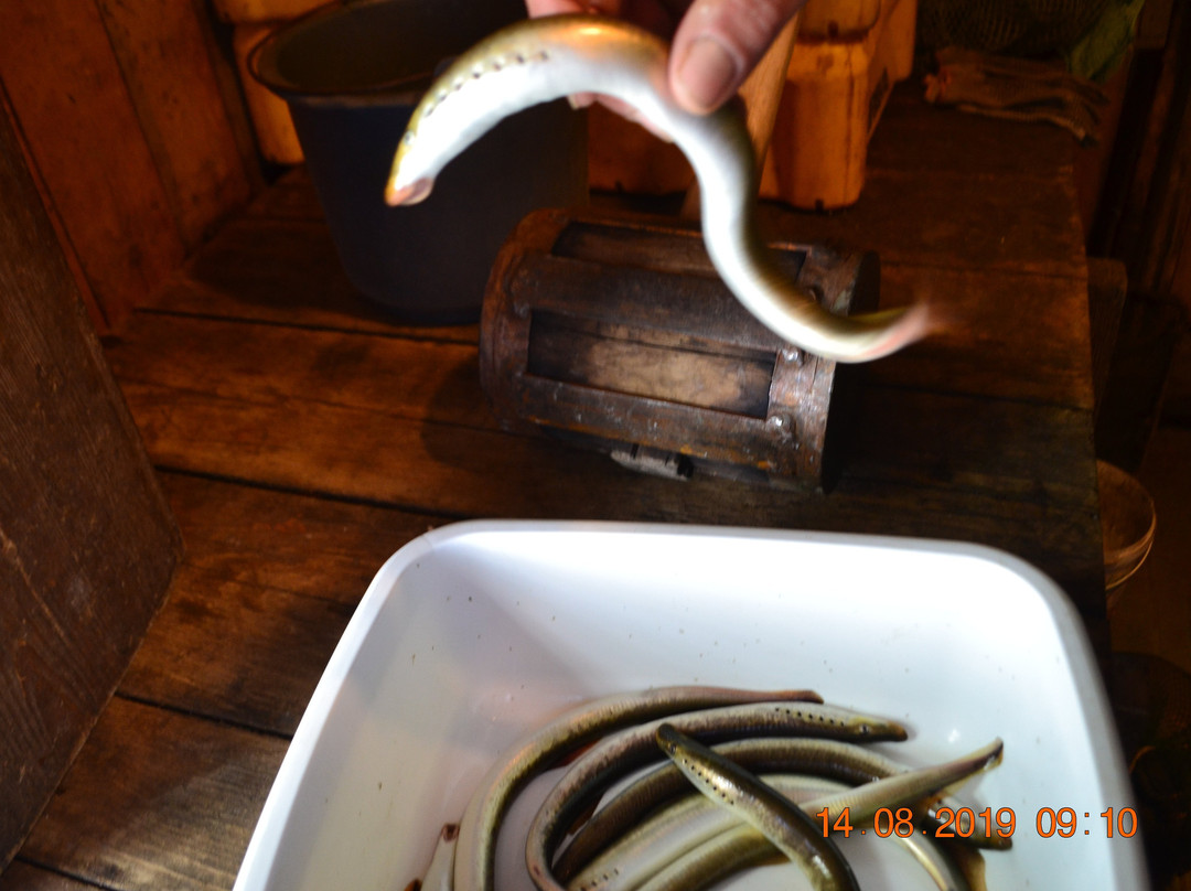 Lamprey Weirs-Salacgriva必去景点