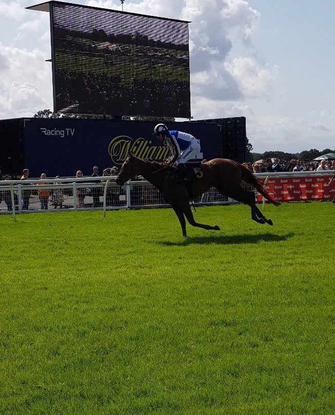 Perth Racecourse-珀斯必去景点
