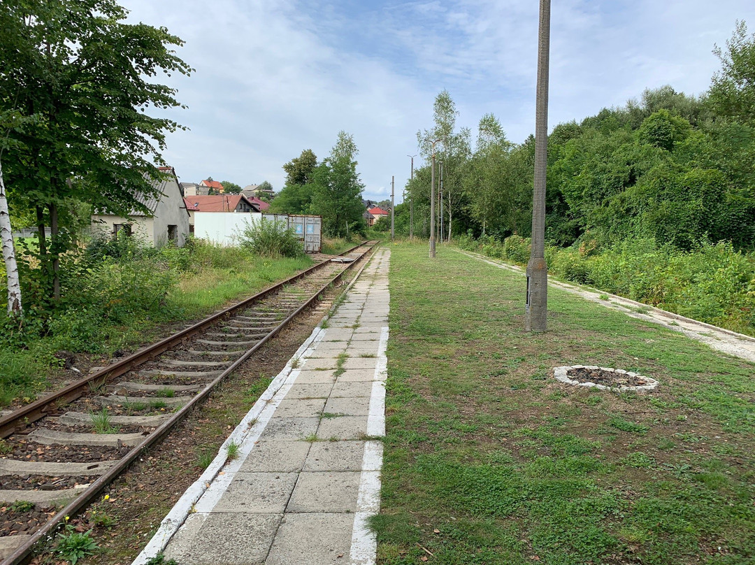 Lokalna Kolej Drezynowa景点图片