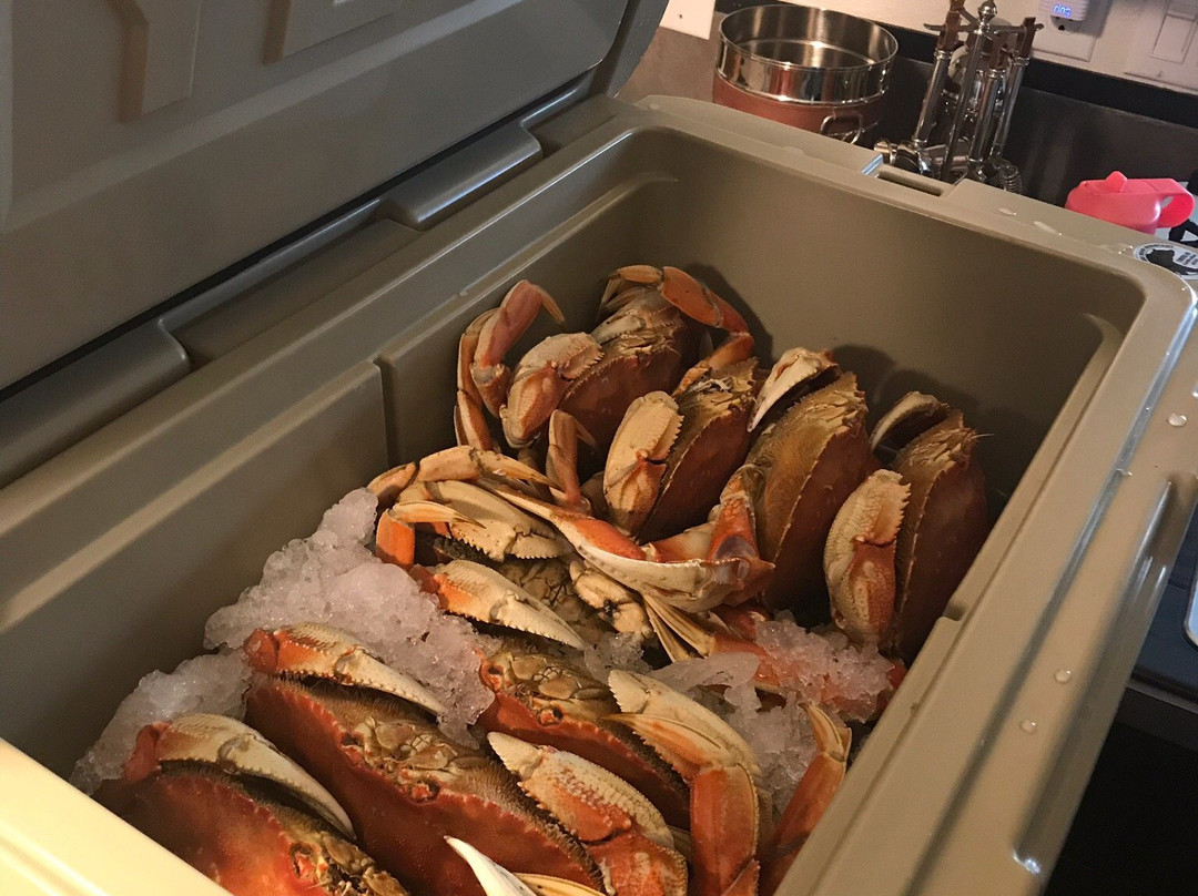 SIGGI-G Ocean Charters-Garibaldi必去景点