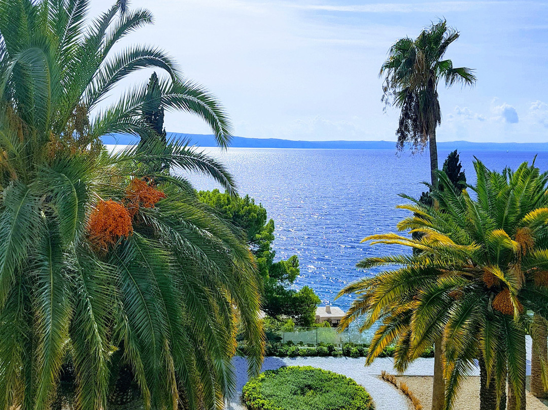 Bluesun Hotel Jadran主图