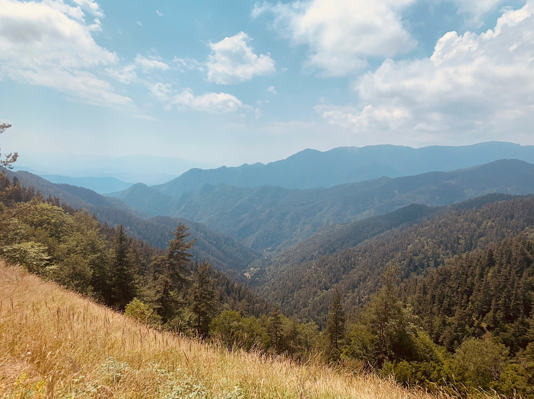 Borjomi-Kharagauli National Park-Borjomi必去景点