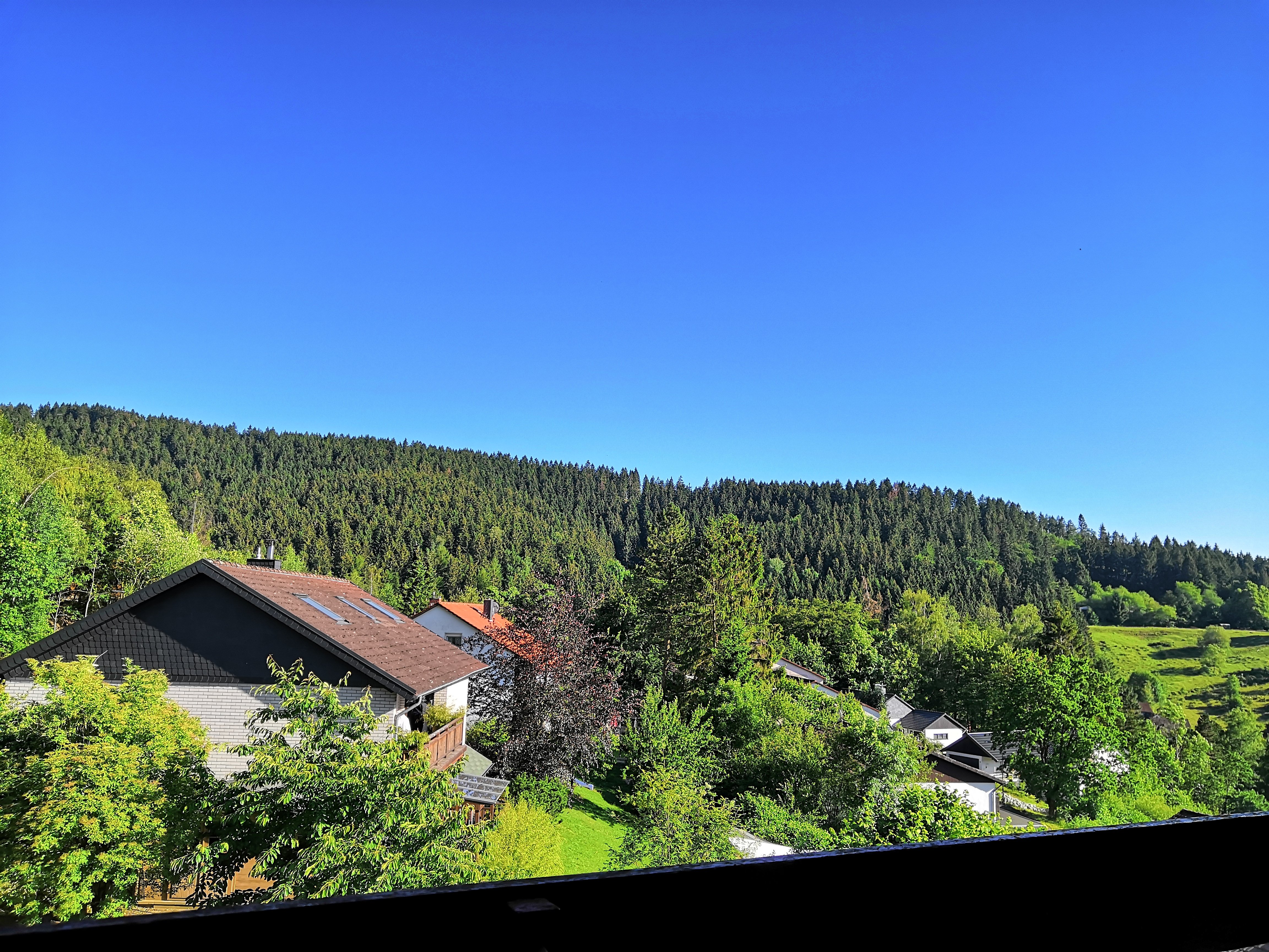 Pension Koala-官方