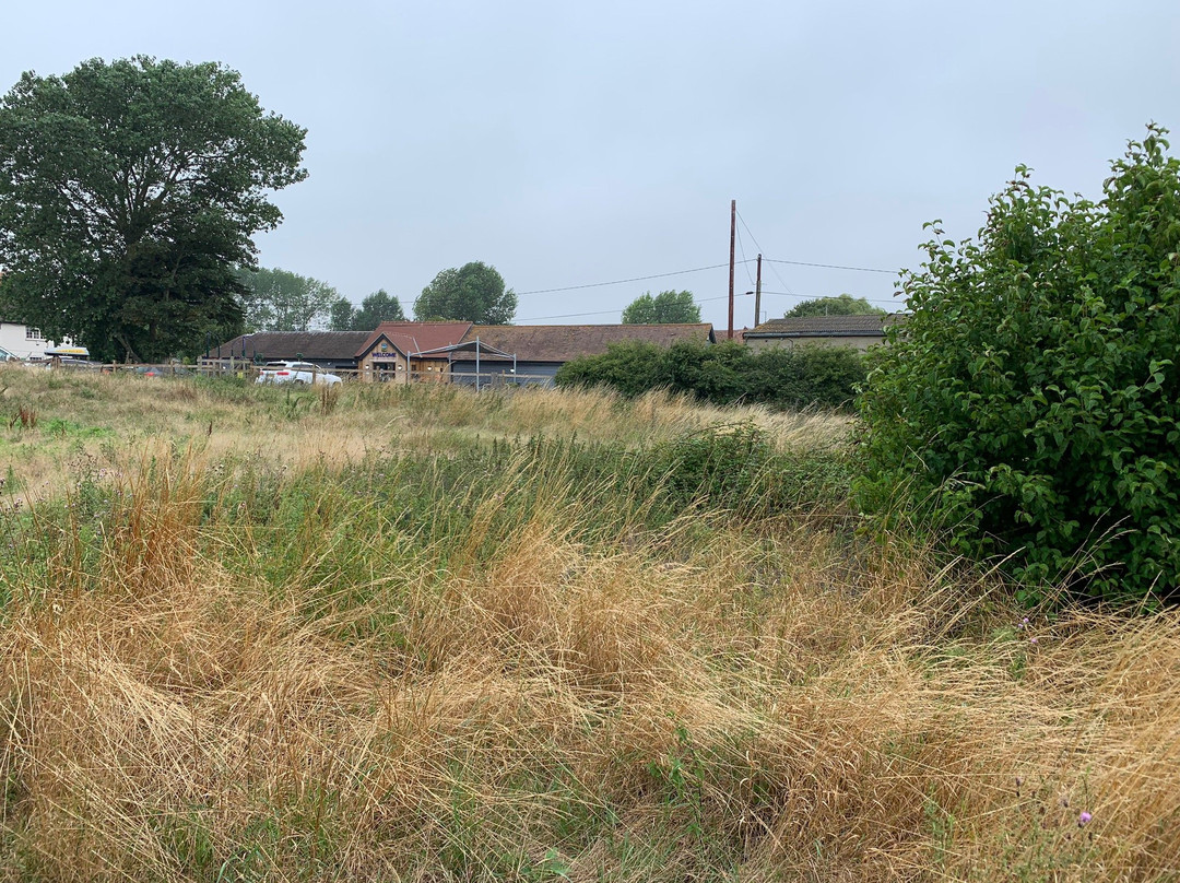 Romney Marsh Visitor Centre景点图片