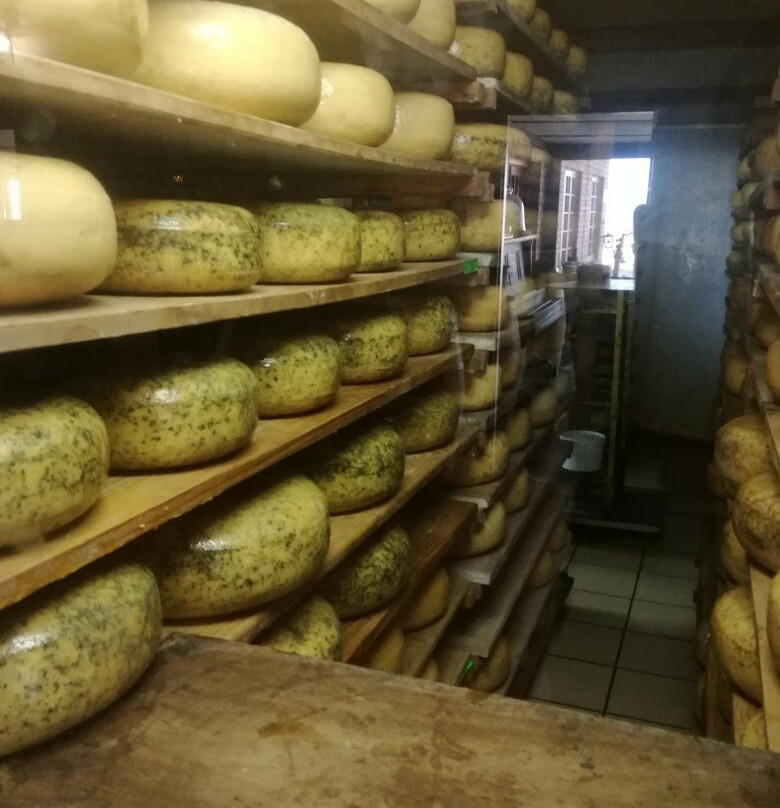 Van Gaalen Kaasmakerij-Madibeng必去景点