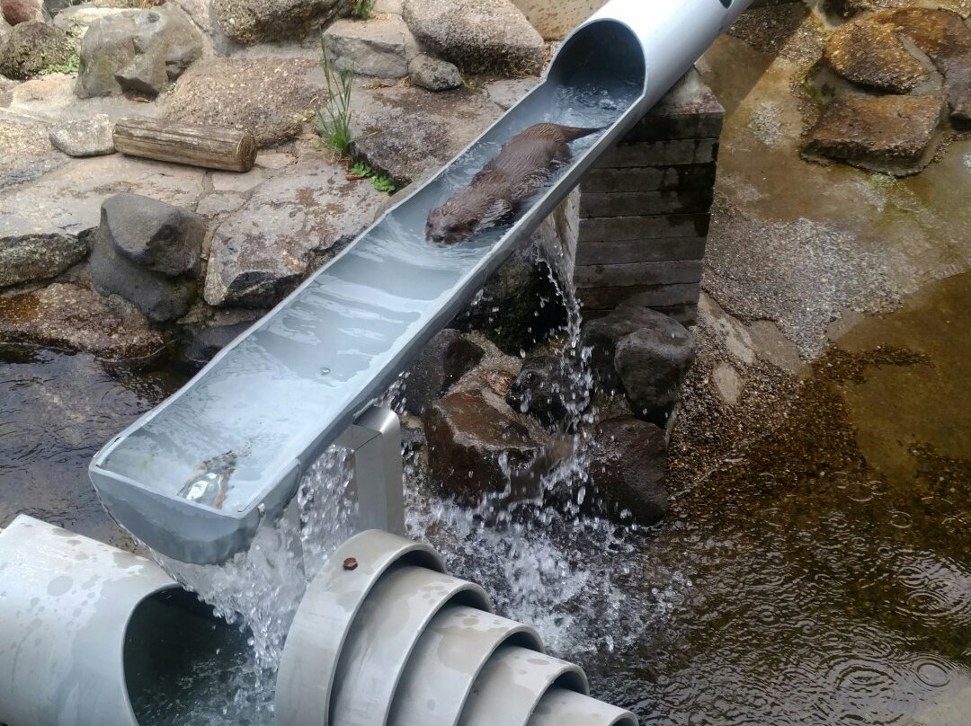 Ichikawa City Zoo-市川市必去景点