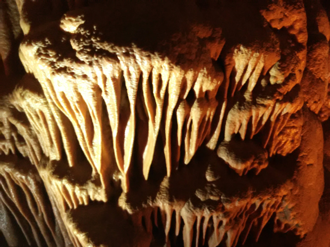 Stalactite Cave Nature Reserve景点图片