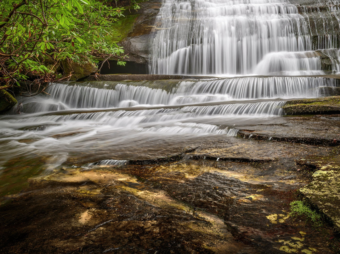 Comfort Inn & Suites主图