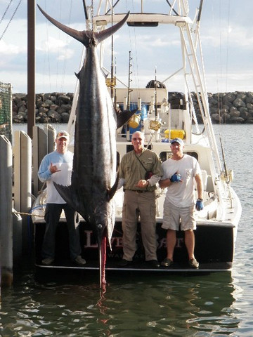 Live Bait Sport Fishing-怀厄奈必去景点
