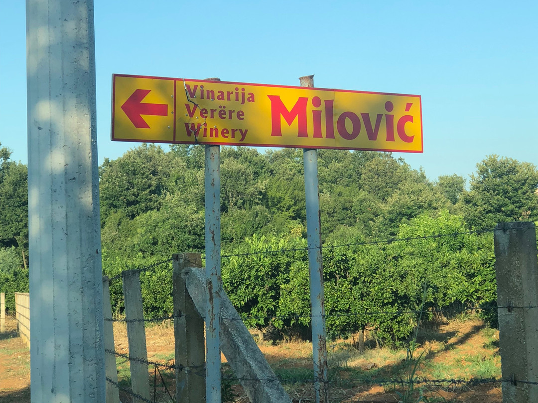 Milovic Winery景点图片