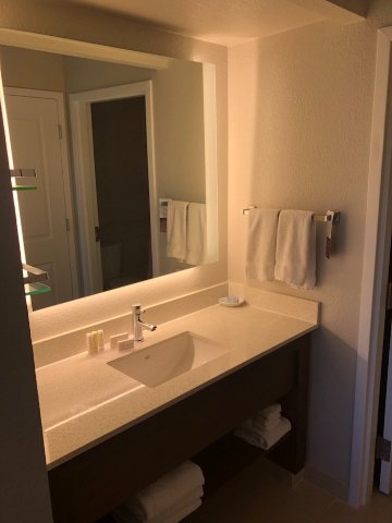 Residence Inn by Marriott Tampa at USF/Medical Center-浴室