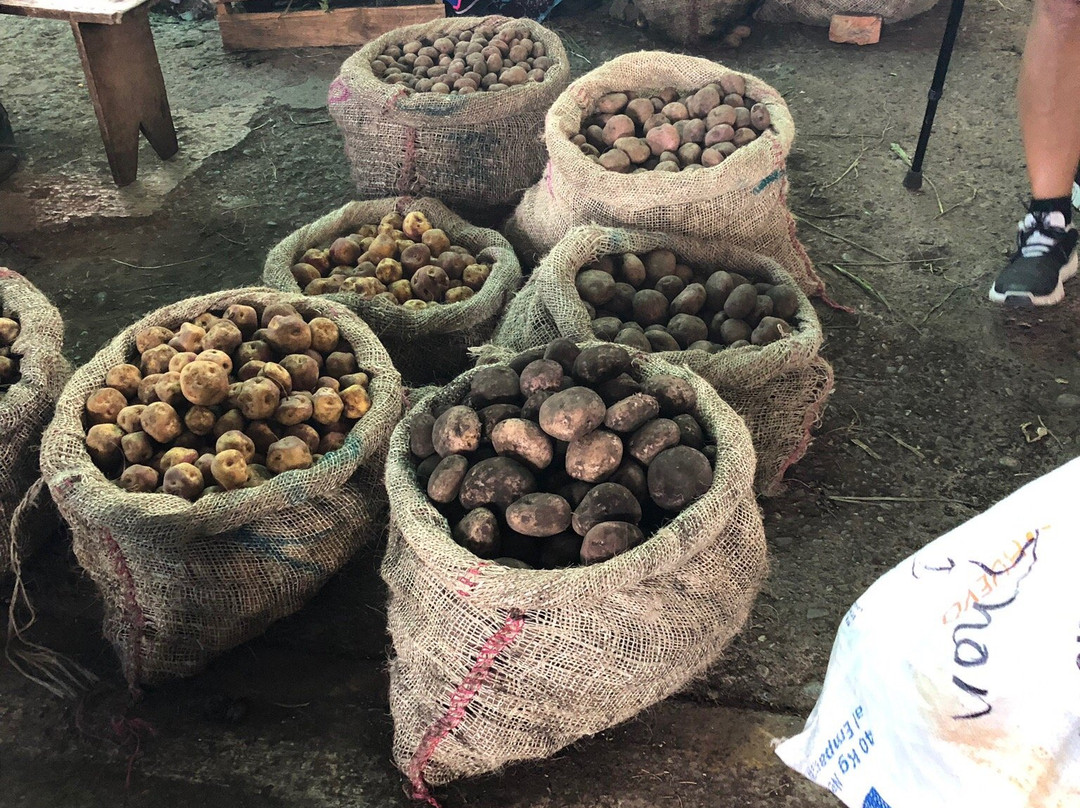 Indigenous Market-Silvia必去景点