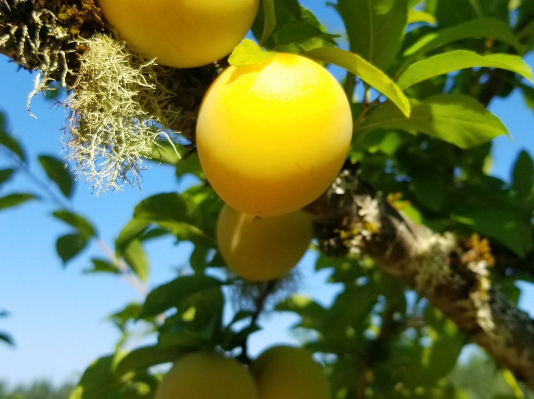 Moonridge Farms-Beavercreek必去景点