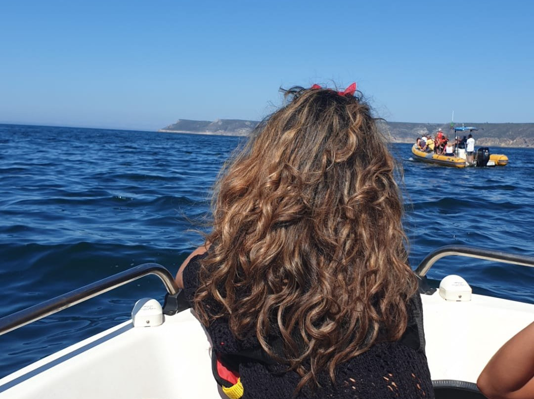 Day Dream-塞新布拉必去景点