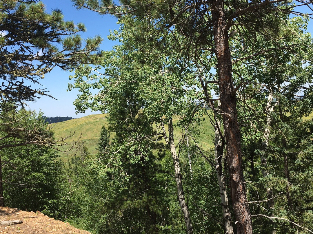 Andy's Trail Rides-Lead必去景点