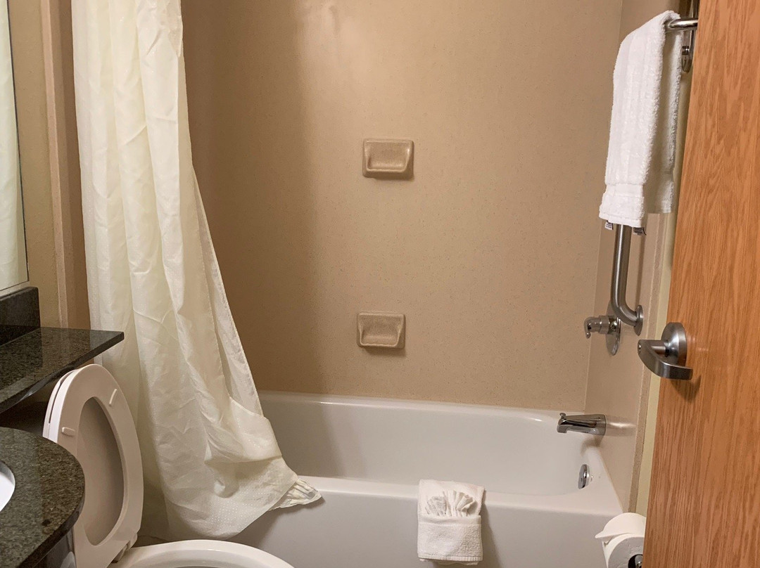 Microtel Inn & Suites by Wyndham Saraland / North Mobile主图