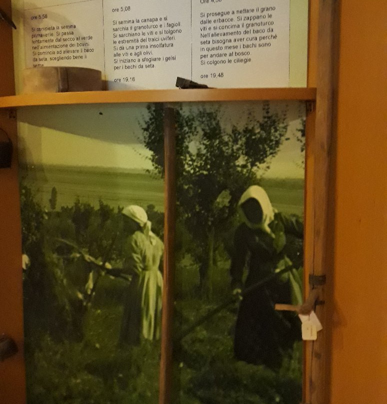 Museo della Mezzadria景点图片