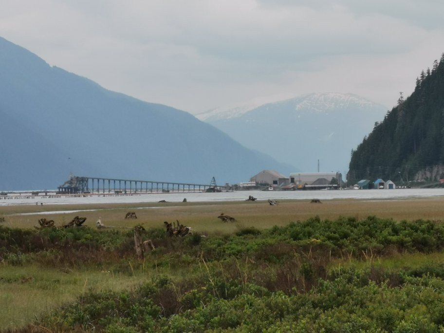 Estuary Boardwalk-Stewart必去景点