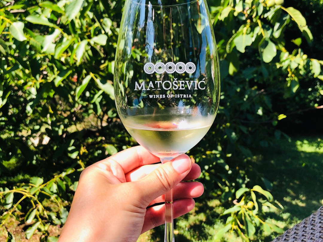 Matosevic Winery-Kruncici必去景点