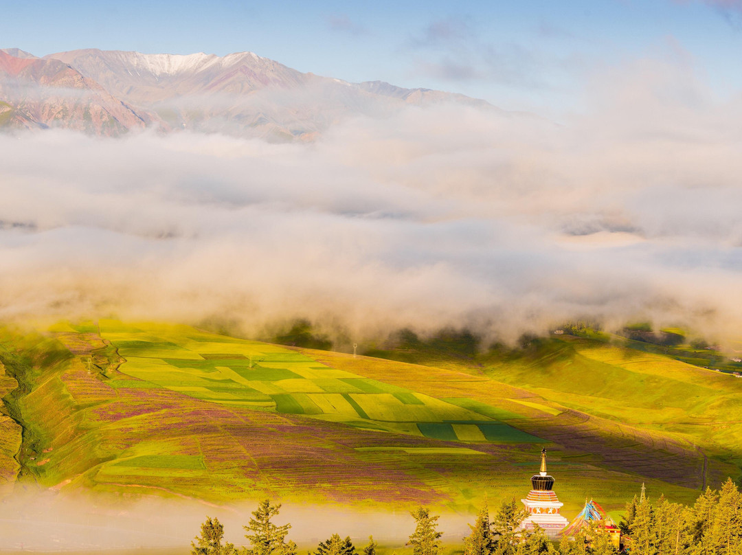 MoreFunAsia Hangzhou Tours