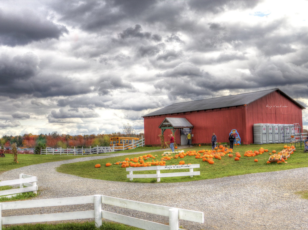 Ellms Family Farm-Ballston Spa必去景点