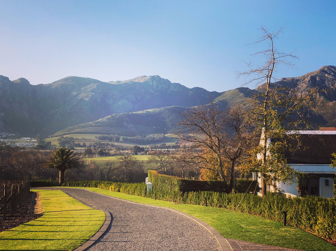 Gourmet Wine Tours-开普敦中心区必去景点