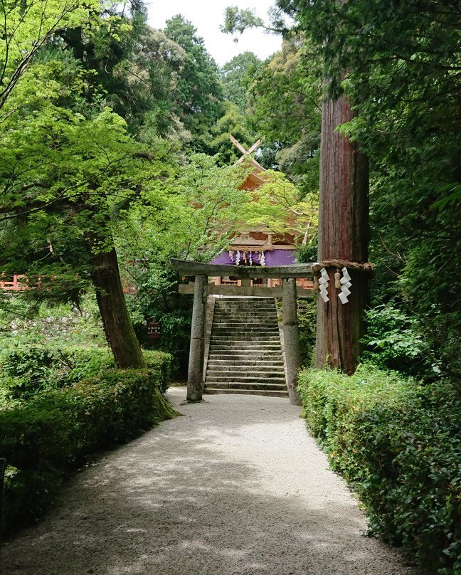 Takakamo Shrine景点图片