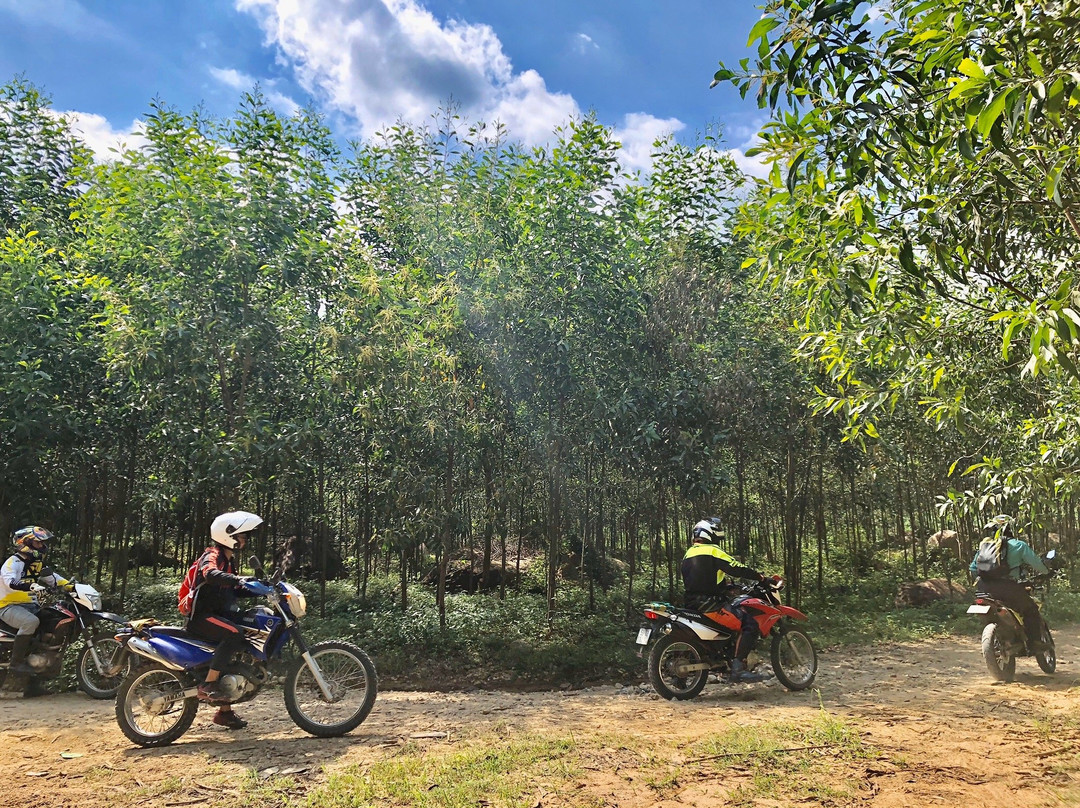 Vietnam Motorcycle Tour景点图片