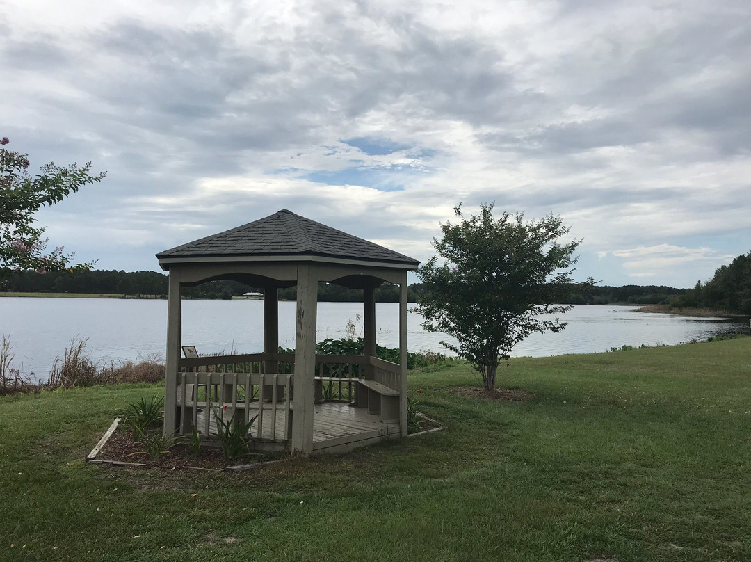 Reed Bingham State Park景点图片