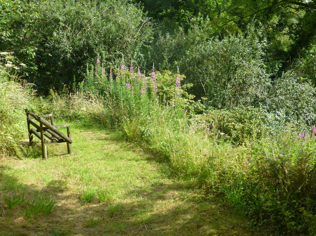 Ffynnon Fendigaid主图