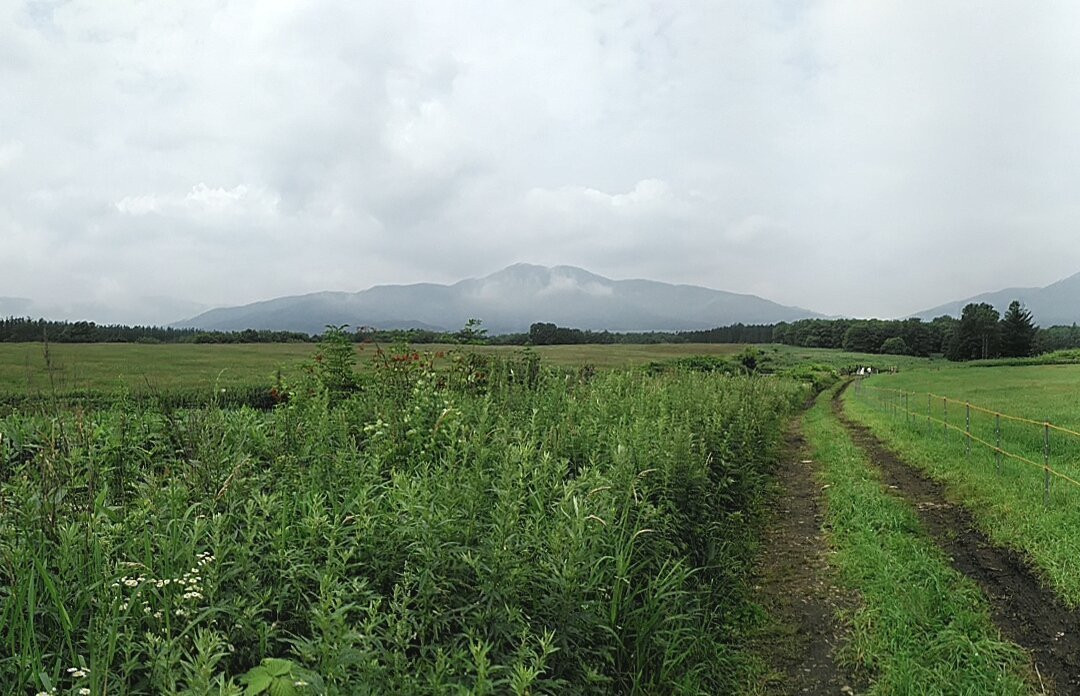 Shibata Bokujoeno Michi景点图片