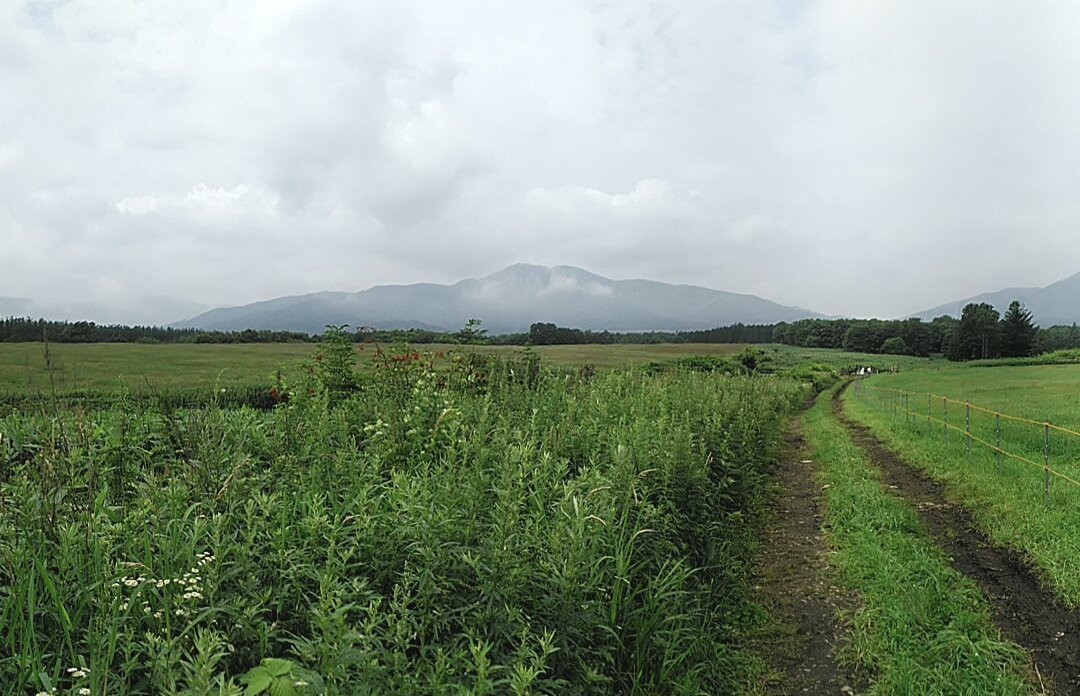 Shibata Bokujoeno Michi-新得町必去景点