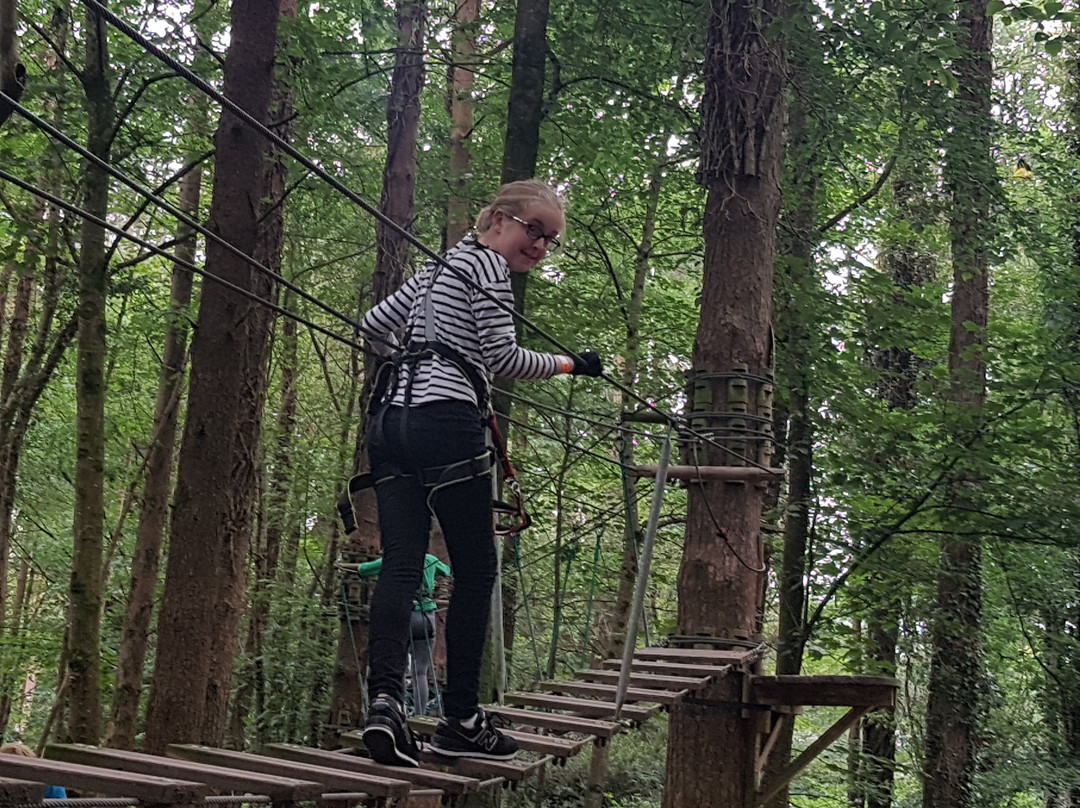 Zipit Forest Adventures-科克必去景点